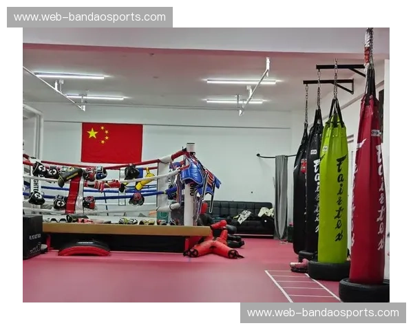 拳击比赛入口地址:进入热血现场的门票之门 拳击比赛入口地址:进入热血现场的门票之门